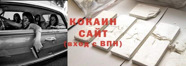 хмурый Алзамай