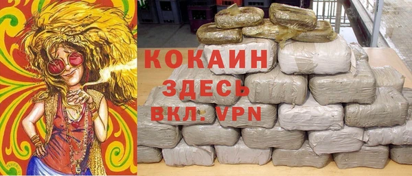 хмурый Алзамай