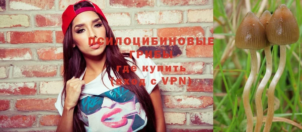 прущие грибы Алексеевка