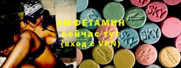 хмурый Алзамай