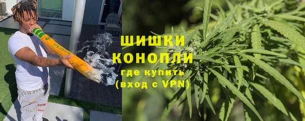 хмурый Алзамай