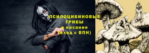 прущие грибы Алексеевка