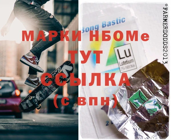 хмурый Алзамай