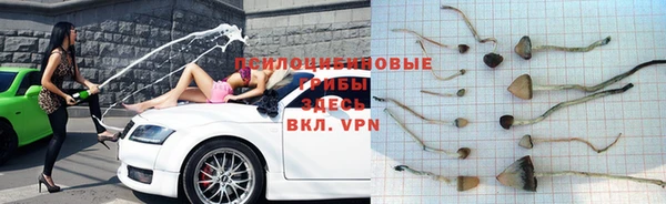 хмурый Алзамай