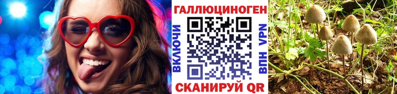 Псилоцибиновые грибы ЛСД  Геленджик 