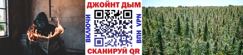 Конопля семена  Геленджик 